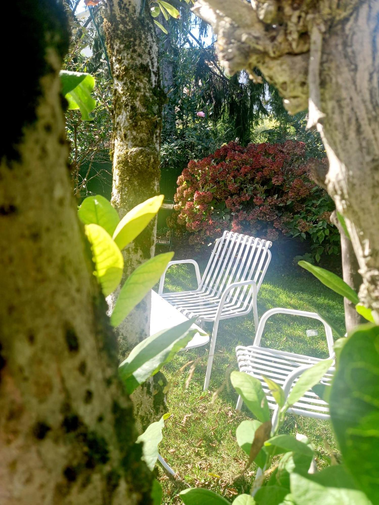 A Casa Di Dora Bed & Breakfast Treviso Bagian luar foto