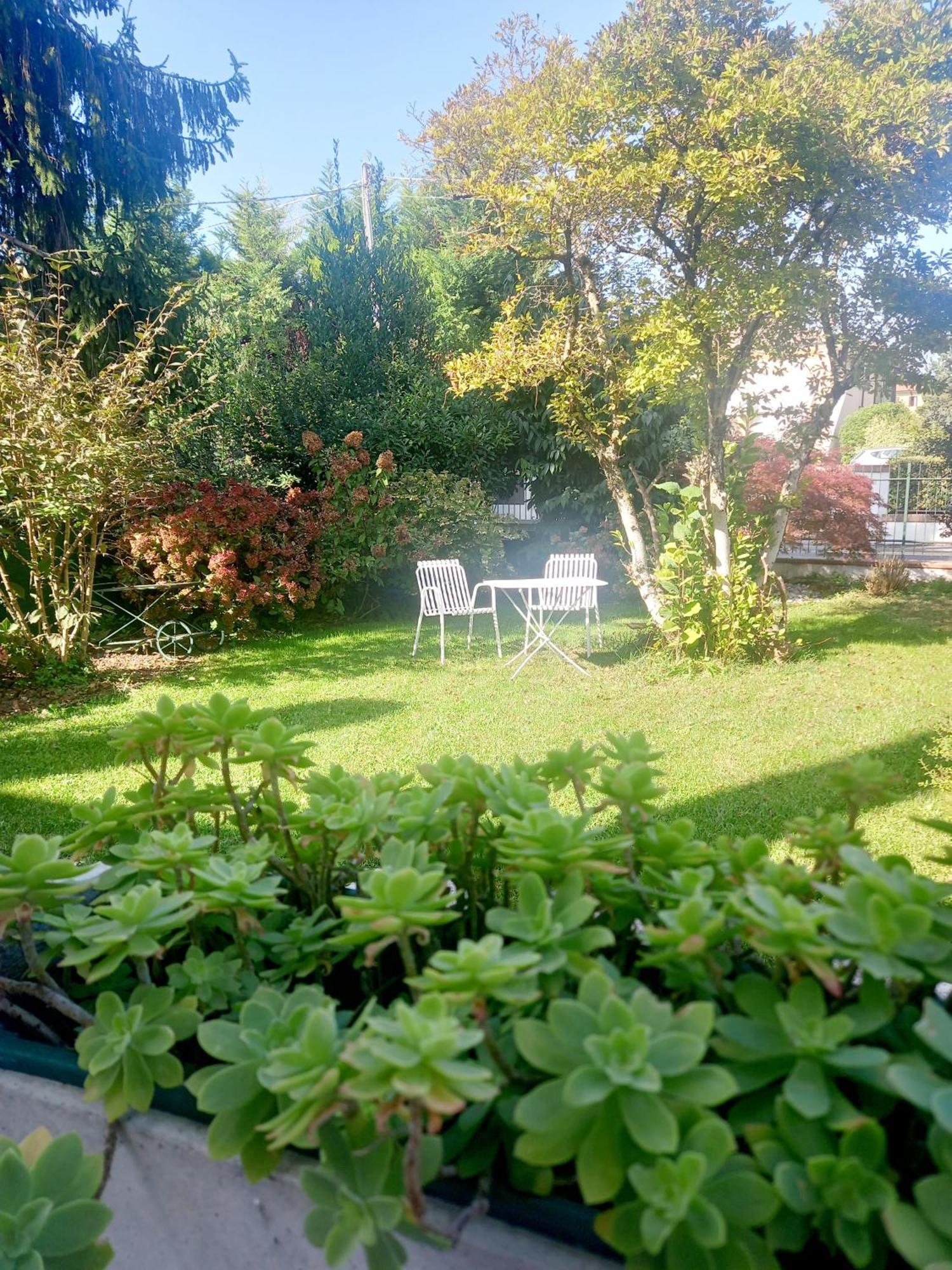 A Casa Di Dora Bed & Breakfast Treviso Bagian luar foto