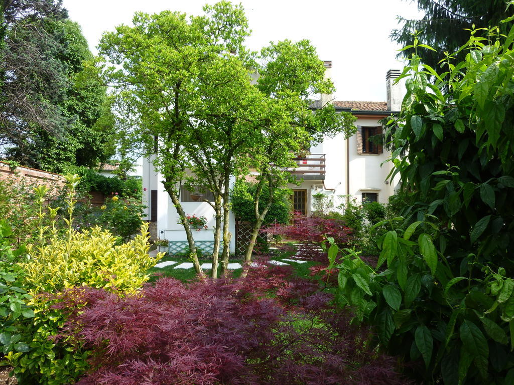 A Casa Di Dora Bed & Breakfast Treviso Bagian luar foto