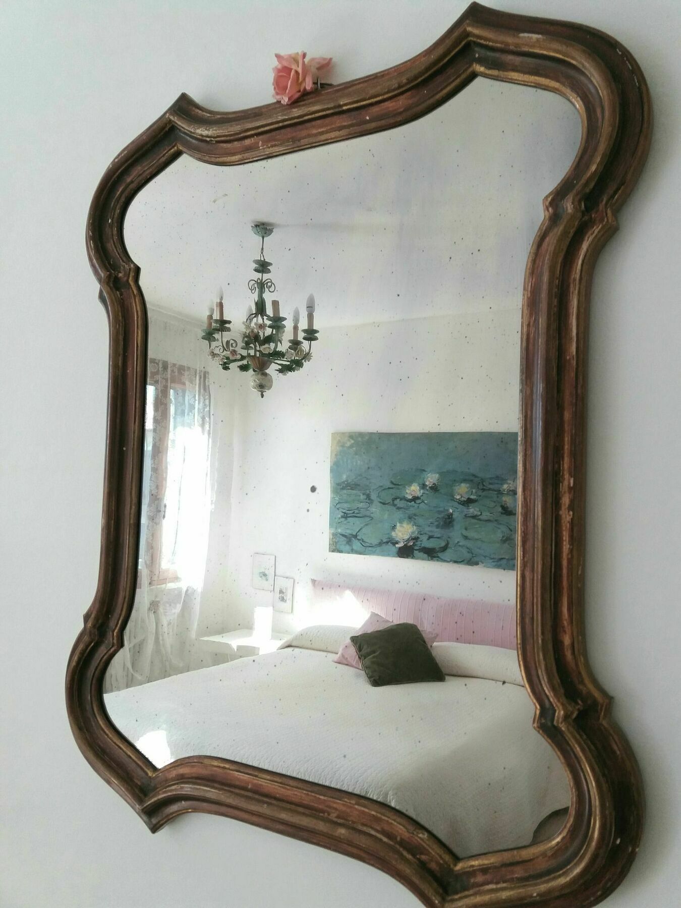A Casa Di Dora Bed & Breakfast Treviso Bagian luar foto