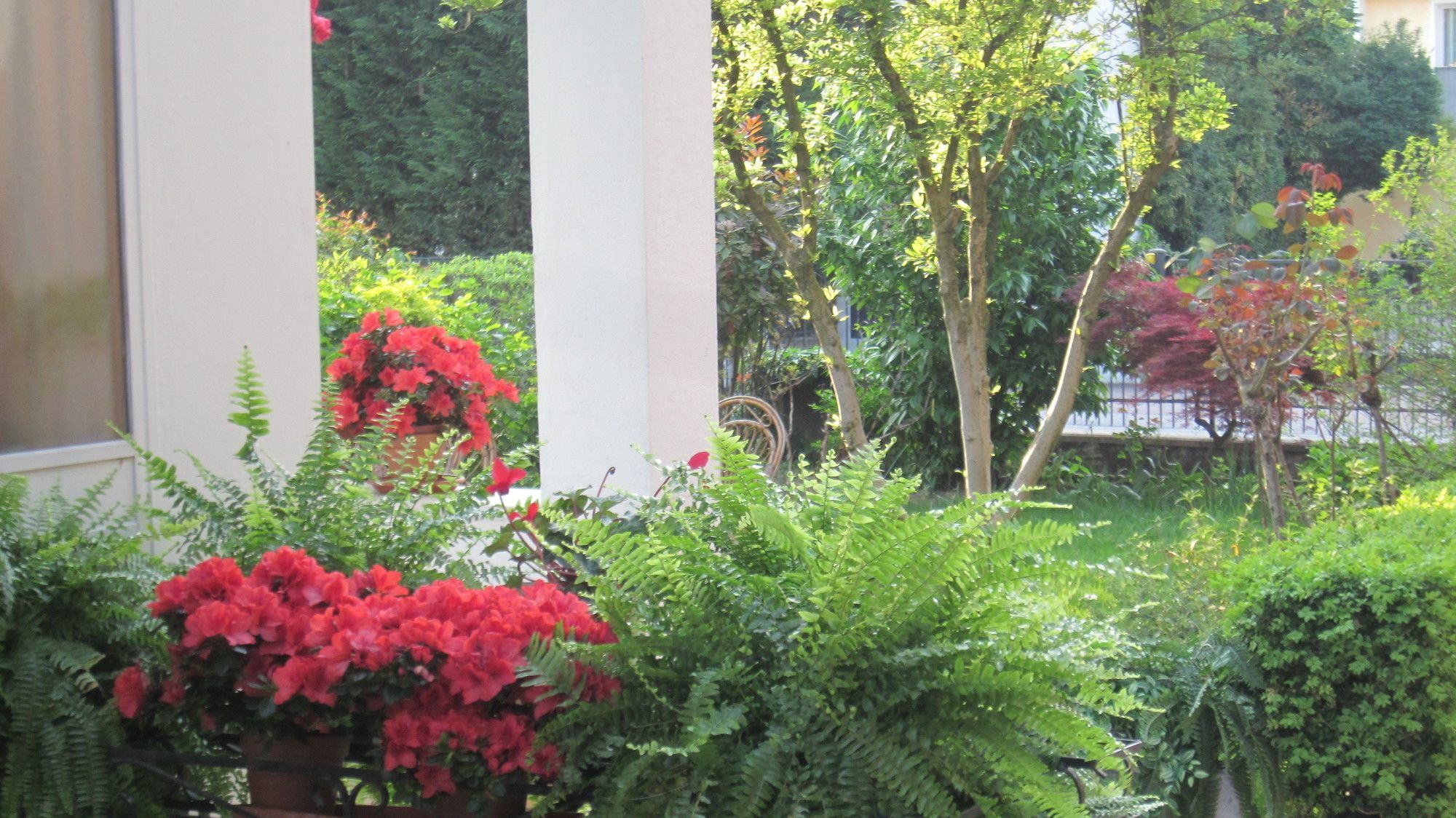 A Casa Di Dora Bed & Breakfast Treviso Bagian luar foto