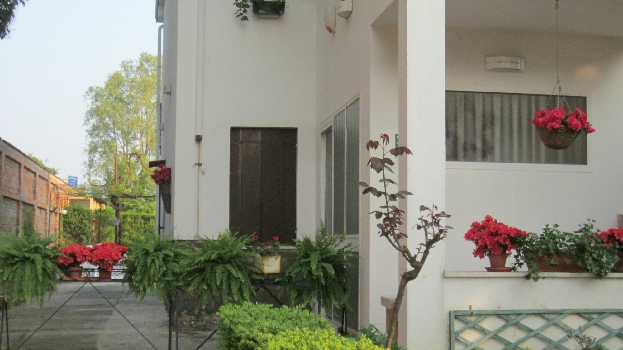 A Casa Di Dora Bed & Breakfast Treviso Bagian luar foto