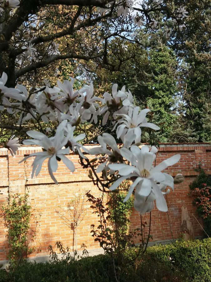 A Casa Di Dora Bed & Breakfast Treviso Bagian luar foto