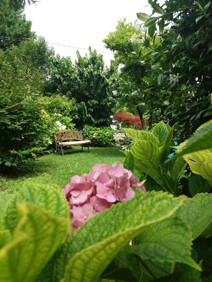 A Casa Di Dora Bed & Breakfast Treviso Bagian luar foto